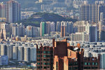 DPP_00026