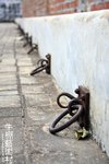 IMG_4134