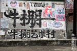 IMG_4146
