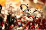 DPP_0245