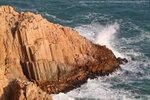 DPP_0102