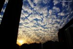 IMG_0007