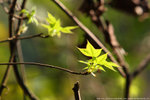 DPP_0047