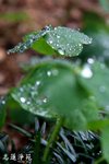IMG_0280