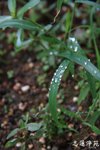 IMG_0291