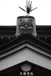 IMG_0300