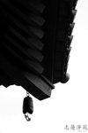 IMG_0323c