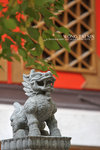 DPP_0127