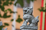 DPP_0140