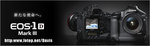 Davis x Canon 1D MarkIII