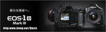 Davis x Canon 1D MarkIII s