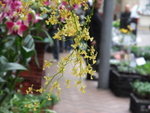 2009_0301AP