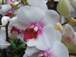 2009_0301BE