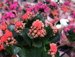 2009_0301BK