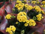 2009_0301BL