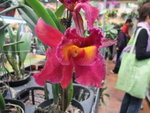 2009_0301CE