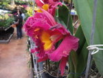 2009_0301CH