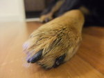 2009_0301DX