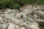 DSCF1596
