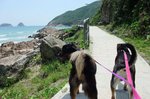 DSCF1623