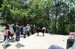 DSCF1624