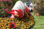 Flower Show 2009-105