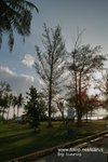 SDIM0004