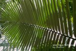 SDIM0023