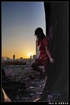 SDIM1278-1R