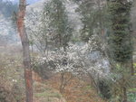 R0013812