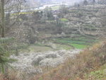 R0013813