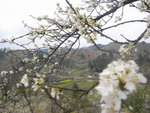 R0013829