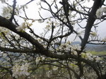 R0013833