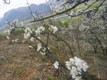 R0013841
