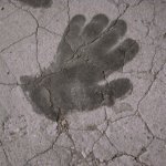 R0017573 (600x600)