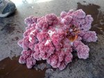 08082009715