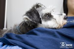 200905280040