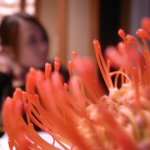 R0018165