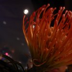 R0018185