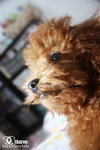 200904070024