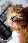 200904070025