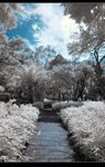 DSC_9965A