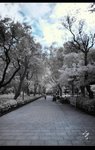 DSC_9973A
