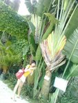 IMG0578A