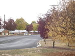 @Blue Mtns, OZ~2006