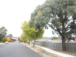 @Blue Mtns, OZ~2006