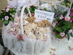 P1020262