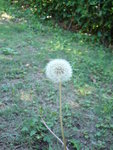 P1040035