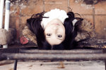nEO_IMG_DSC03477