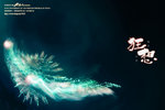 nEO_IMG_DSC01367